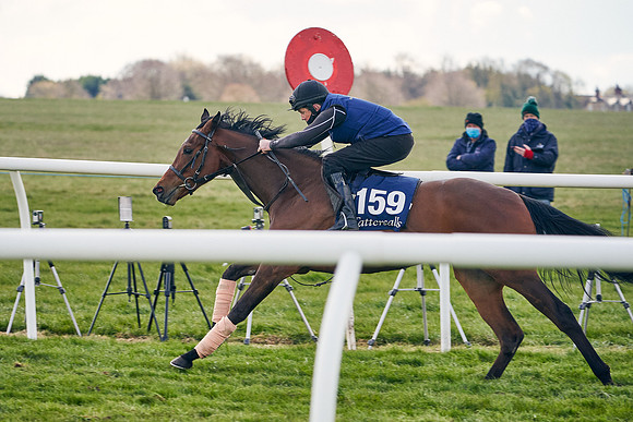 2021-04-12-Dominic-James-Craven-Breeze-Up-Sales-1069