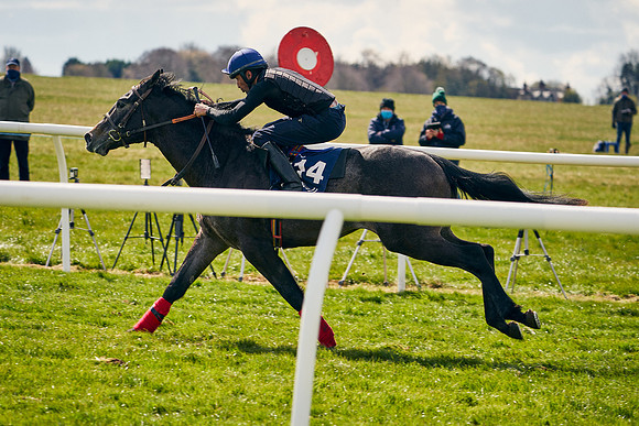 2021-04-12-Dominic-James-Craven-Breeze-Up-Sales-0997