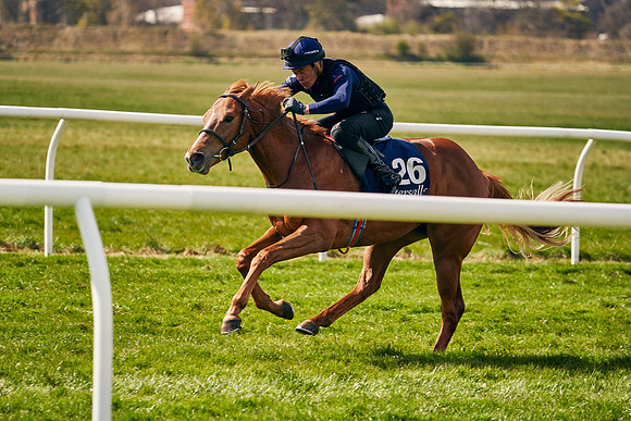 2021-04-12-Dominic-James-Craven-Breeze-Up-Sales-0949