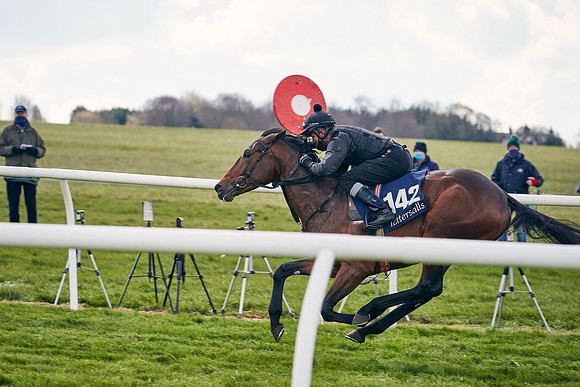 2021-04-12-Dominic-James-Craven-Breeze-Up-Sales-0934