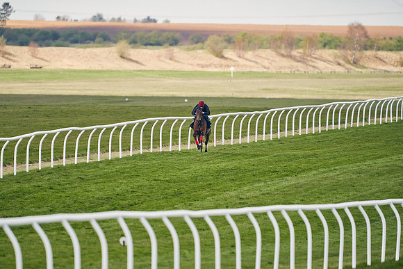 2021-04-12-Dominic-James-Craven-Breeze-Up-Sales-1043