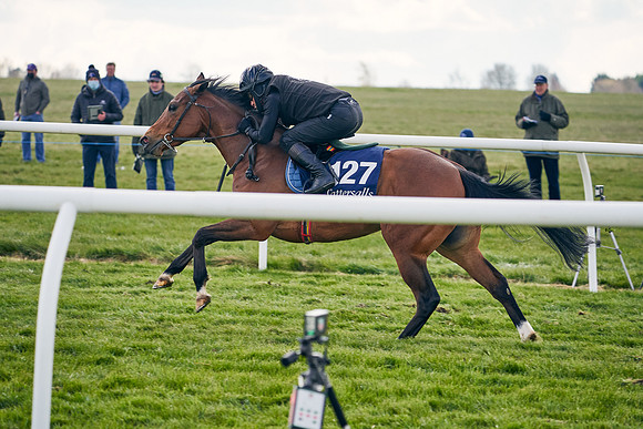 2021-04-12-Dominic-James-Craven-Breeze-Up-Sales-1042