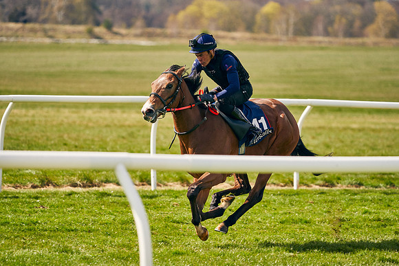 2021-04-12-Dominic-James-Craven-Breeze-Up-Sales-1012