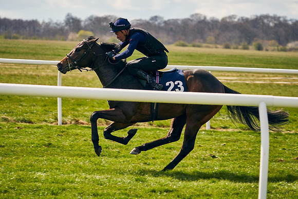 2021-04-12-Dominic-James-Craven-Breeze-Up-Sales-0878