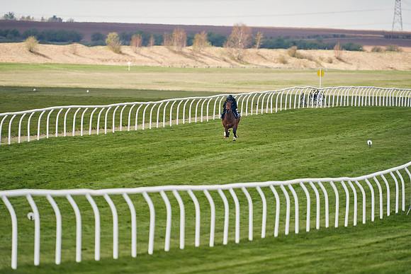 2021-04-12-Dominic-James-Craven-Breeze-Up-Sales-1031