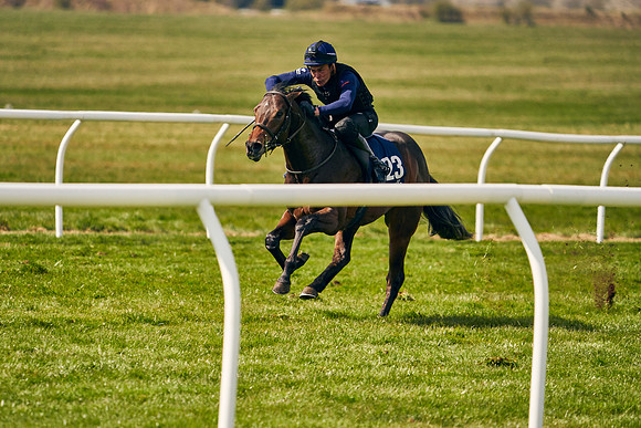 2021-04-12-Dominic-James-Craven-Breeze-Up-Sales-0877