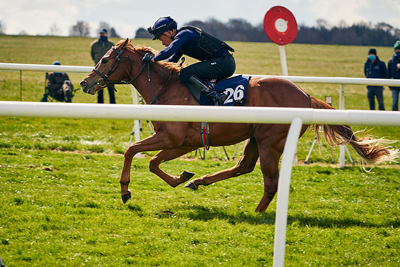 2021-04-12-Dominic-James-Craven-Breeze-Up-Sales-0952
