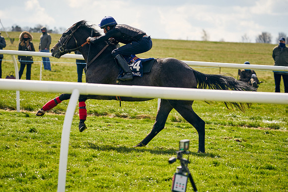 2021-04-12-Dominic-James-Craven-Breeze-Up-Sales-0998
