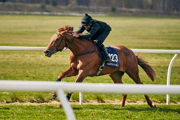 2021-04-12-Dominic-James-Craven-Breeze-Up-Sales-0905