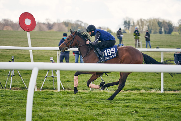 2021-04-12-Dominic-James-Craven-Breeze-Up-Sales-1067