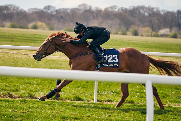 2021-04-12-Dominic-James-Craven-Breeze-Up-Sales-0908