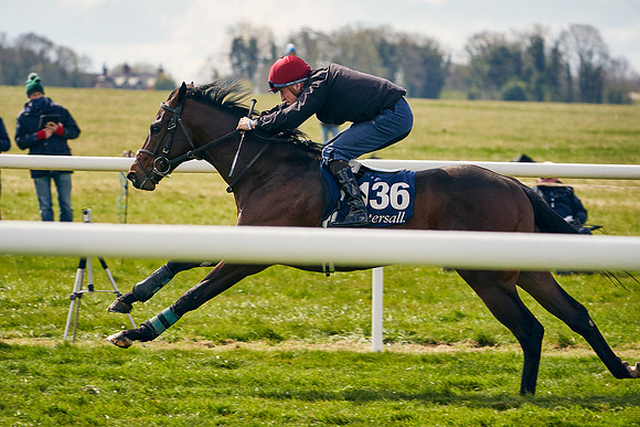 2021-04-12-Dominic-James-Craven-Breeze-Up-Sales-0890