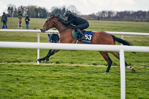 2021-04-12-Dominic-James-Craven-Breeze-Up-Sales-0940