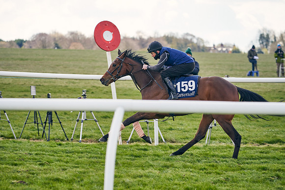 2021-04-12-Dominic-James-Craven-Breeze-Up-Sales-1068