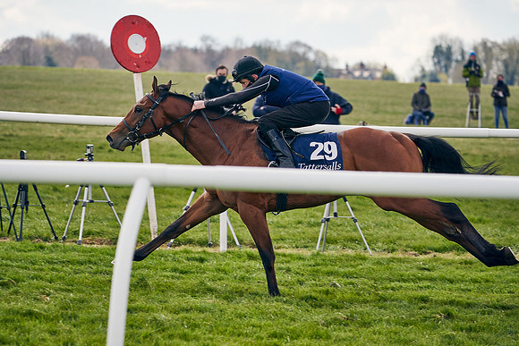2021-04-12-Dominic-James-Craven-Breeze-Up-Sales-0899