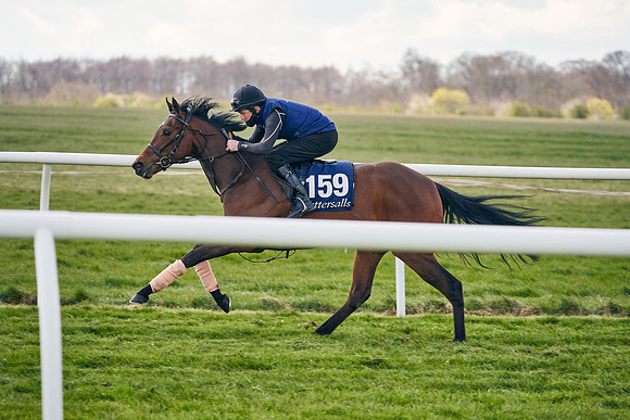 2021-04-12-Dominic-James-Craven-Breeze-Up-Sales-1065