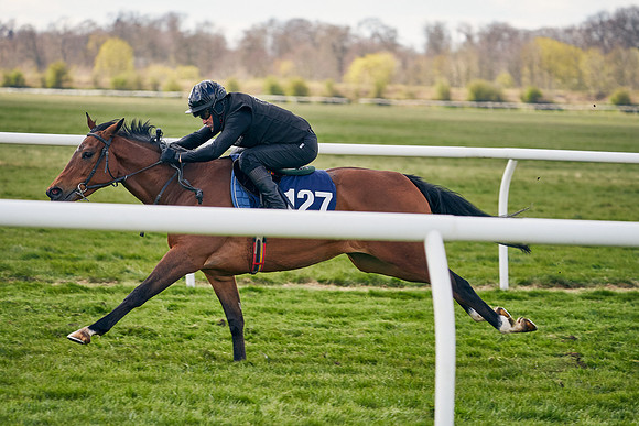 2021-04-12-Dominic-James-Craven-Breeze-Up-Sales-1035
