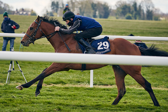 2021-04-12-Dominic-James-Craven-Breeze-Up-Sales-0897