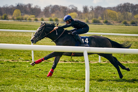 2021-04-12-Dominic-James-Craven-Breeze-Up-Sales-0993