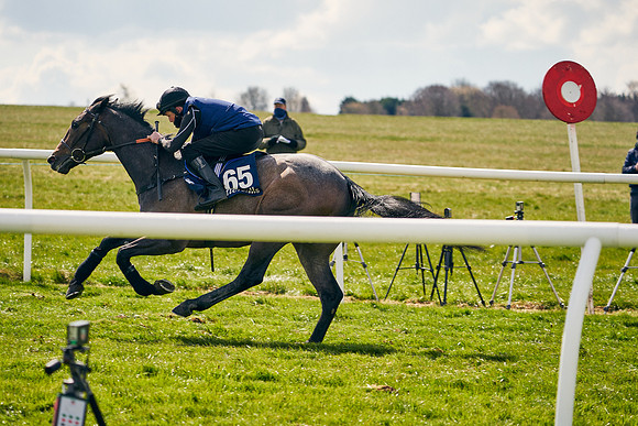 2021-04-12-Dominic-James-Craven-Breeze-Up-Sales-0977