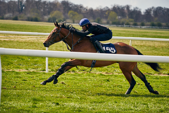 2021-04-12-Dominic-James-Craven-Breeze-Up-Sales-0918