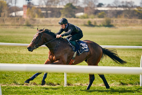 2021-04-12-Dominic-James-Craven-Breeze-Up-Sales-1021