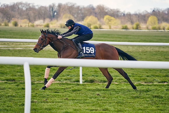 2021-04-12-Dominic-James-Craven-Breeze-Up-Sales-1063