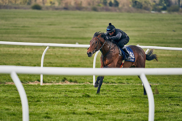 2021-04-12-Dominic-James-Craven-Breeze-Up-Sales-0927