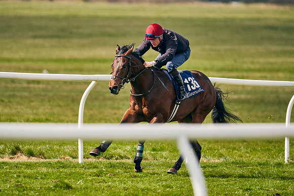 2021-04-12-Dominic-James-Craven-Breeze-Up-Sales-0888