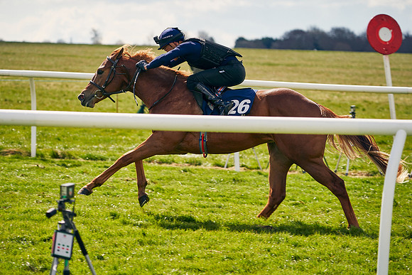 2021-04-12-Dominic-James-Craven-Breeze-Up-Sales-0953