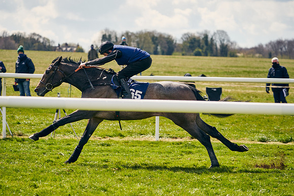 2021-04-12-Dominic-James-Craven-Breeze-Up-Sales-0974