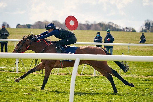 2021-04-12-Dominic-James-Craven-Breeze-Up-Sales-1018