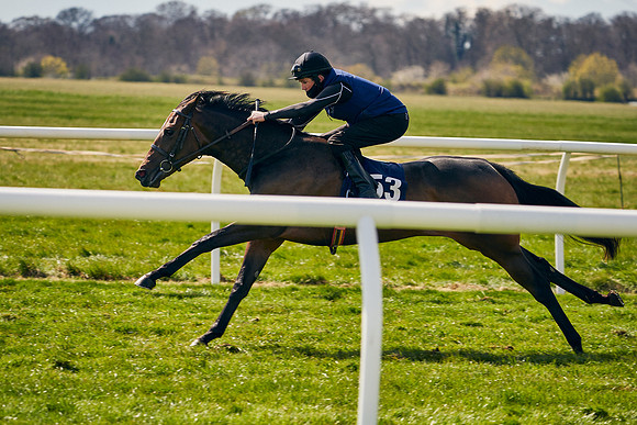 2021-04-12-Dominic-James-Craven-Breeze-Up-Sales-1130
