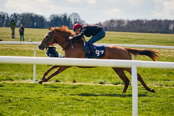 2021-04-12-Dominic-James-Craven-Breeze-Up-Sales-1118