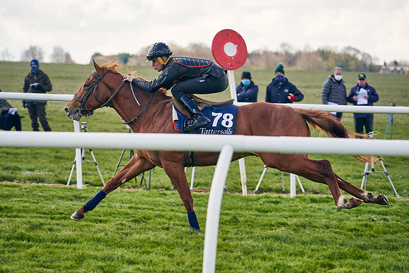 2021-04-12-Dominic-James-Craven-Breeze-Up-Sales-1230