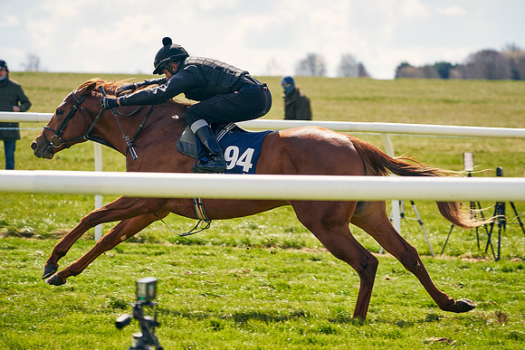 2021-04-12-Dominic-James-Craven-Breeze-Up-Sales-1164