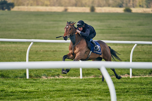 2021-04-12-Dominic-James-Craven-Breeze-Up-Sales-1208