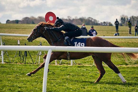 2021-04-12-Dominic-James-Craven-Breeze-Up-Sales-1202