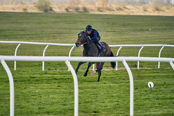 2021-04-12-Dominic-James-Craven-Breeze-Up-Sales-1257
