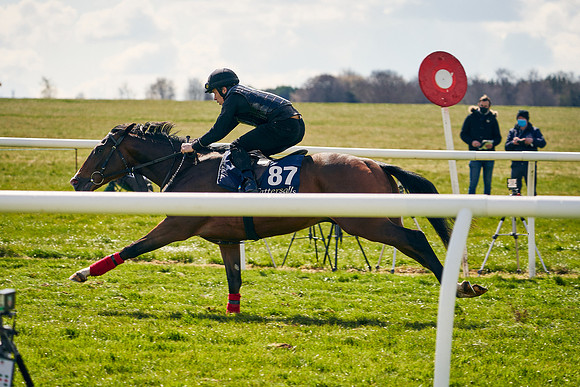 2021-04-12-Dominic-James-Craven-Breeze-Up-Sales-1150