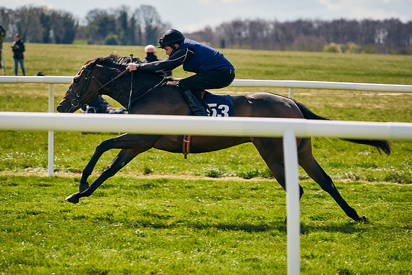 2021-04-12-Dominic-James-Craven-Breeze-Up-Sales-1133