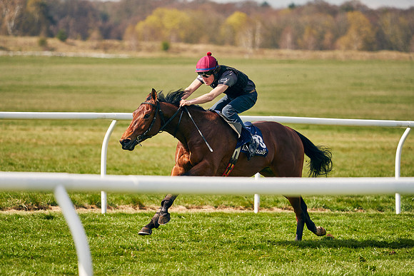 2021-04-12-Dominic-James-Craven-Breeze-Up-Sales-1170