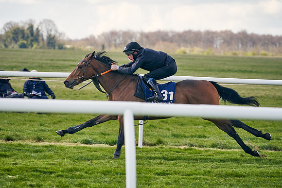 2021-04-12-Dominic-James-Craven-Breeze-Up-Sales-1214