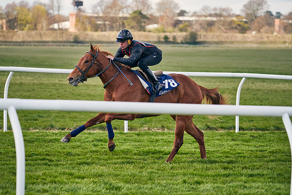 2021-04-12-Dominic-James-Craven-Breeze-Up-Sales-1220