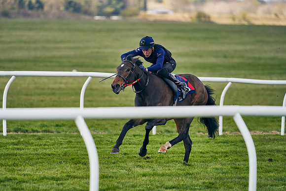 2021-04-12-Dominic-James-Craven-Breeze-Up-Sales-1258