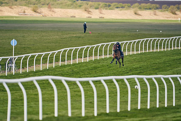 2021-04-12-Dominic-James-Craven-Breeze-Up-Sales-1206