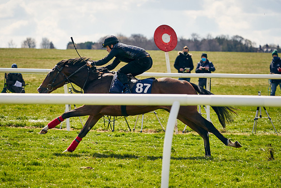 2021-04-12-Dominic-James-Craven-Breeze-Up-Sales-1149
