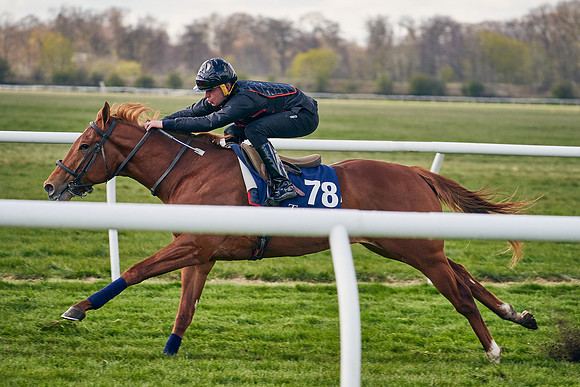 2021-04-12-Dominic-James-Craven-Breeze-Up-Sales-1223