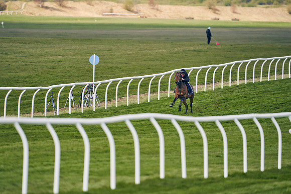 2021-04-12-Dominic-James-Craven-Breeze-Up-Sales-1207