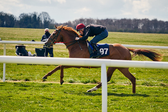 2021-04-12-Dominic-James-Craven-Breeze-Up-Sales-1117